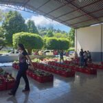 Prefeitura realiza primeira entrega de 2026 do projeto “Cesta Verde” e beneficia 126 famílias em Barra de São Francisco