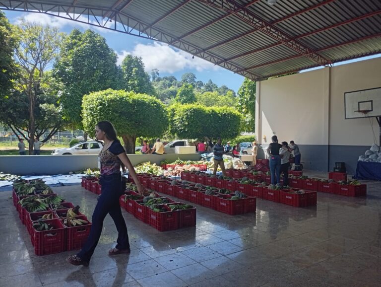 Prefeitura realiza primeira entrega de 2026 do projeto “Cesta Verde” e beneficia 126 famílias em Barra de São Francisco