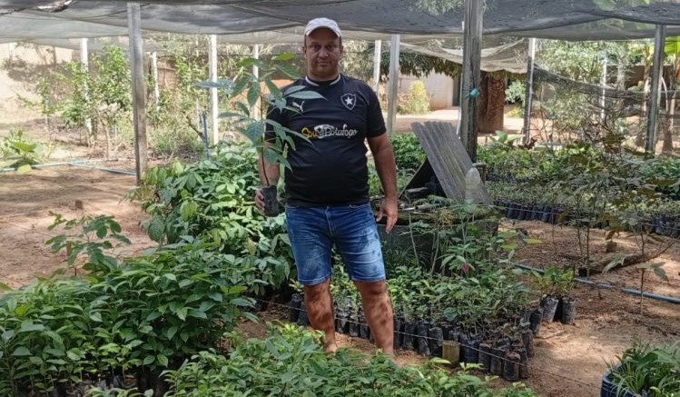 Leia mais sobre o artigo Prefeitura distribui mais de 20 mil mudas e fortalece ações de preservação ambiental em Barra de São Francisco