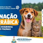 Prefeitura realiza vacinação antirrábica para cães e gatos em Cachoerinha de Itaúnas
