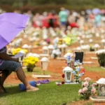 Finados, Proclamação e Zumbi, veja os feriados nacionais de novembro